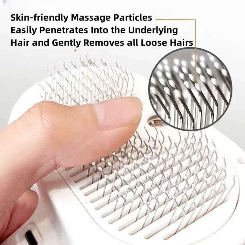 Pet Steam Brush